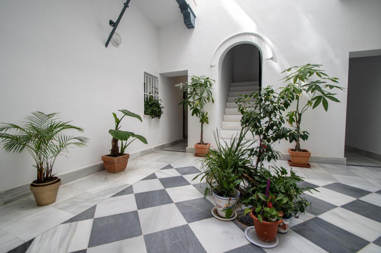 Apartamento Los Claveles - La Caleta Lejlighed Cádiz Eksteriør billede